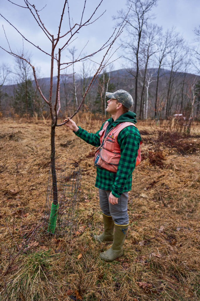 Conversations | Vermont Forester and Author Ethan Tapper. A person in boots and outdoor gear examines a young tree in a grassy, leafless landscape.