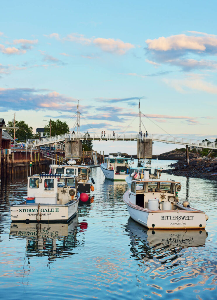 Small fishing boats docked in a calm harbor with a footbridge and people in the background under a blue sky.