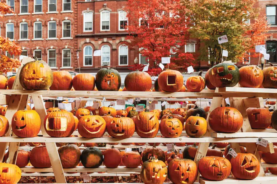 Rows of carved pumpkins on wooden racks with autumn trees and brick buildings in the background.