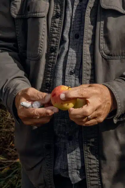 A person in a gray shirt holds an apple and a pen outdoors, showing only their hands and torso.