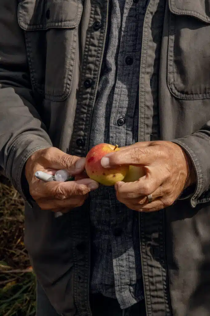 A person in a gray shirt holds an apple and a pen outdoors, showing only their hands and torso.