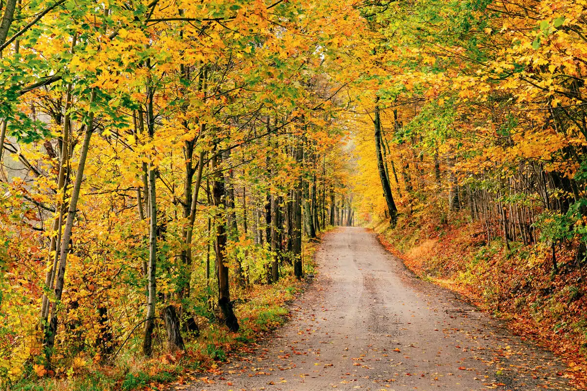 A Fall Escape to Connecticut’s Litchfield Hills