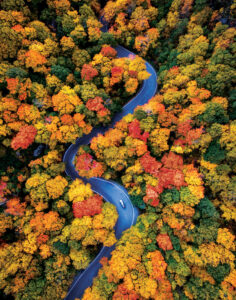 A winding road through a dense forest of vibrant autumn trees, with a car driving along the curve.