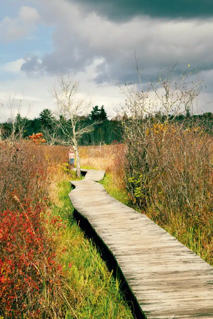 Curved wooden boardwalk through tall grass and shrubs under a cloudy sky, person in the distance.