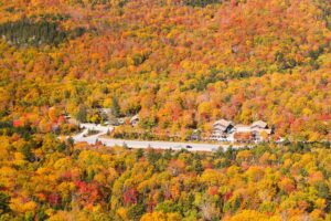A winding road and buildings surrounded by dense autumn forest with vibrant red, orange, and yellow foliage.