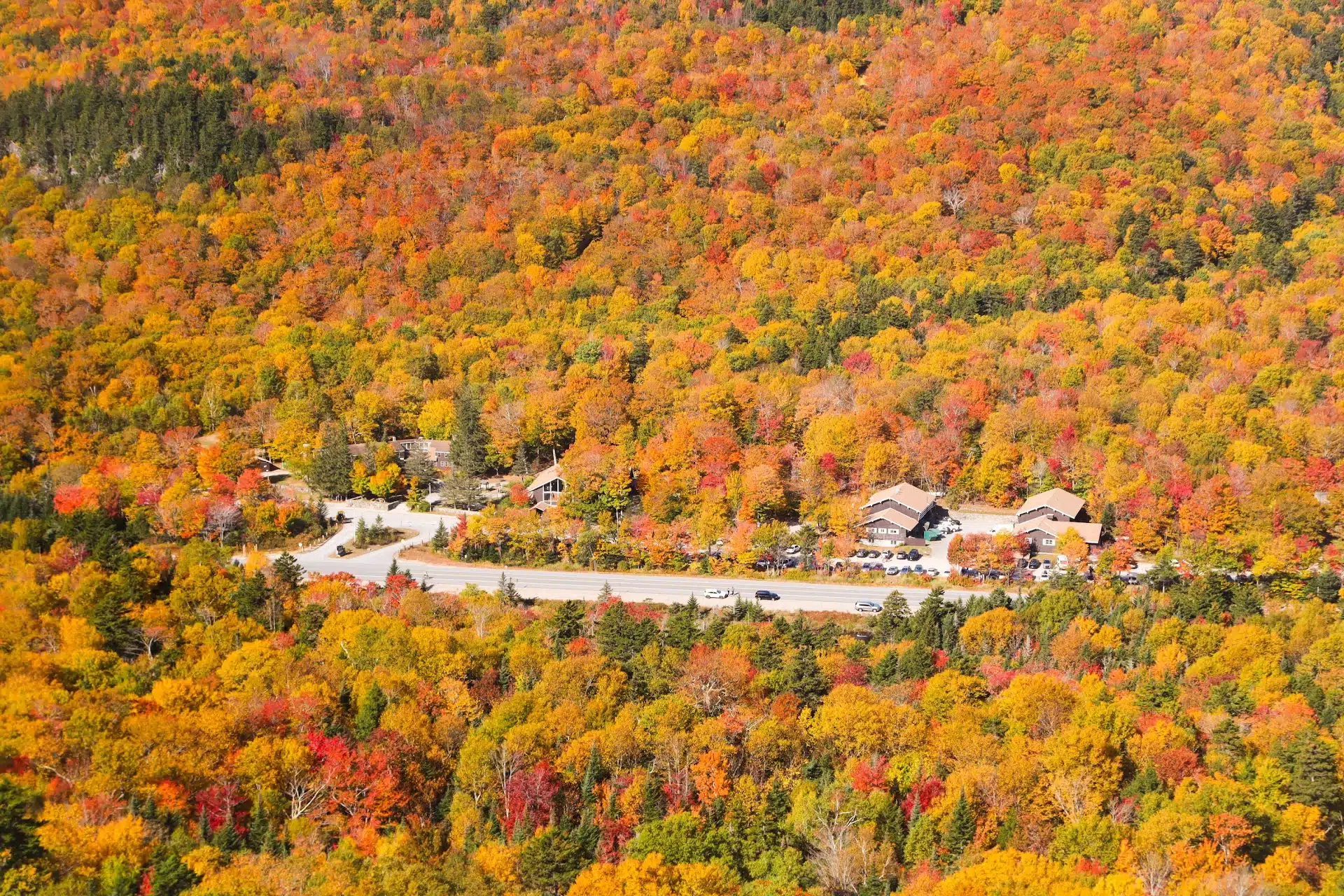A winding road and buildings surrounded by dense autumn forest with vibrant red, orange, and yellow foliage.