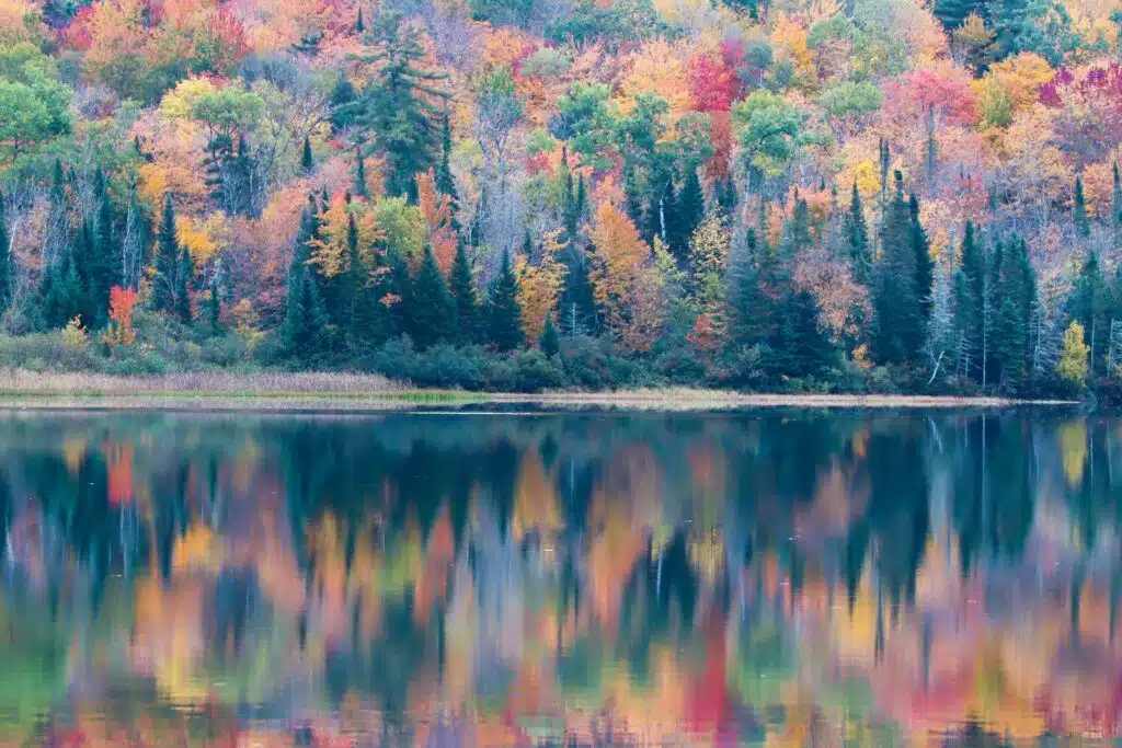 2026 New England Fall Foliage Forecast. Colorful autumn trees reflected in a calm lake, creating a vibrant, mirrored landscape scene.