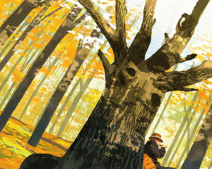 The Old Sugar Maple