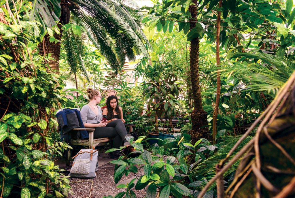 Two people sit and talk on a bench surrounded by lush green plants in a garden or greenhouse.