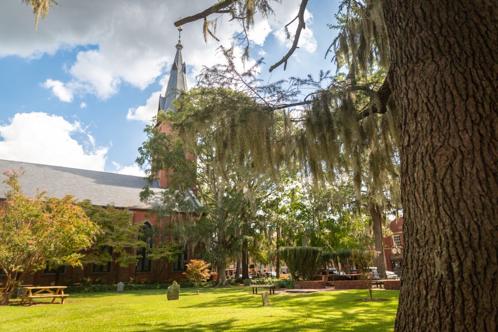 Spanish moss and fall foliage in New Bern, NC.