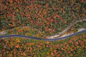 A winding road cuts through a forest with vibrant autumn foliage in shades of red, orange, and yellow.