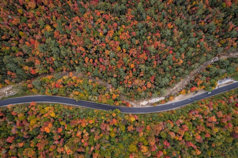 8 Great Things to Do in New England This Fall Weekend