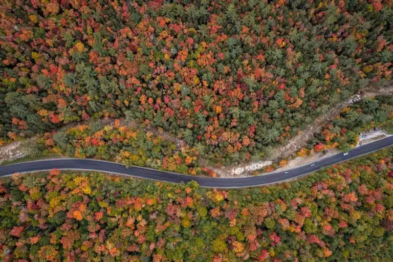 8 Great Things to Do in New England This Fall Weekend