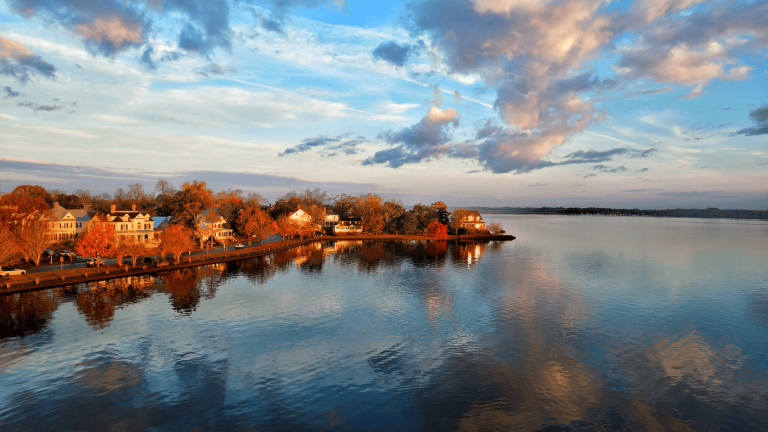 The Leaves Shine On in New Bern