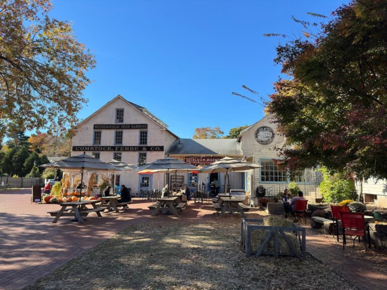 8 Great Things to Do in New England This Fall Weekend