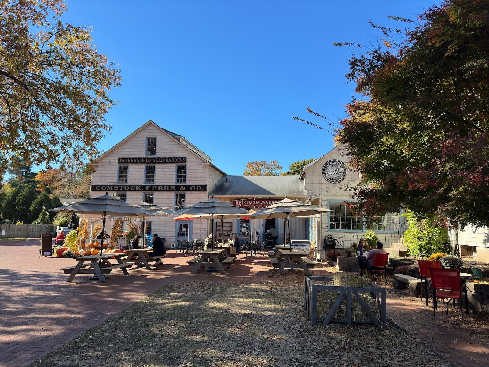 8 Great Things to Do in New England This Fall Weekend