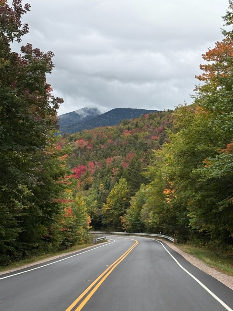 Curving road lined with autumn trees, leading toward forested mountains under a cloudy sky.