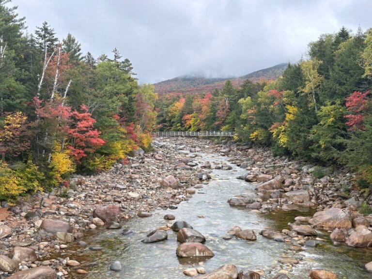 Where to See Fall Foliage This Weekend | 2026