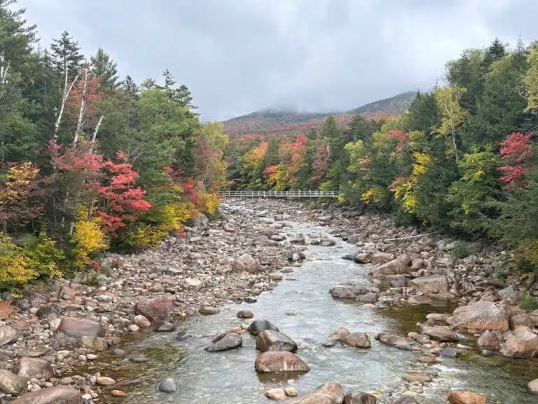 Where to See Fall Foliage This Weekend | 2026