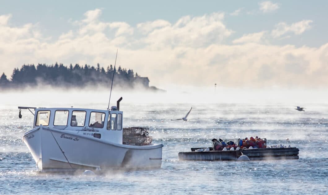 A white lobster boat and a raft of colorful buoys in misty waters.