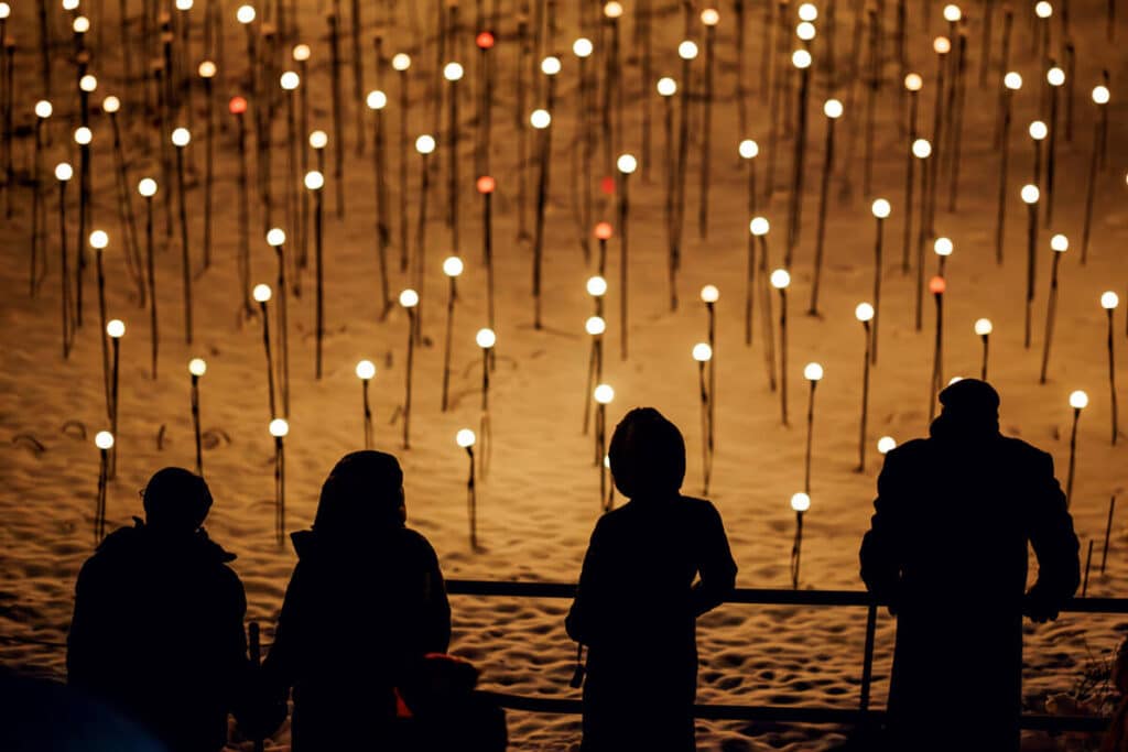 Four silhouetted figures look out over a field of illuminated glowing orbs on thin stems.