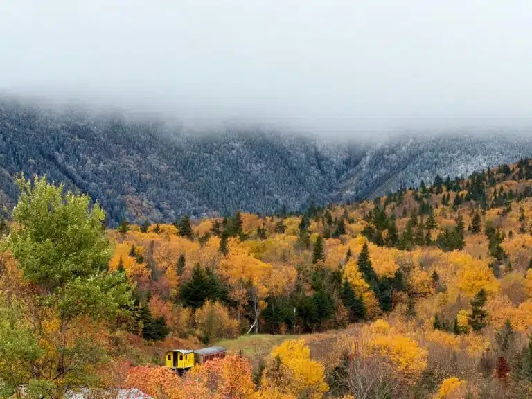 Where to See Fall Foliage This Weekend | 2026