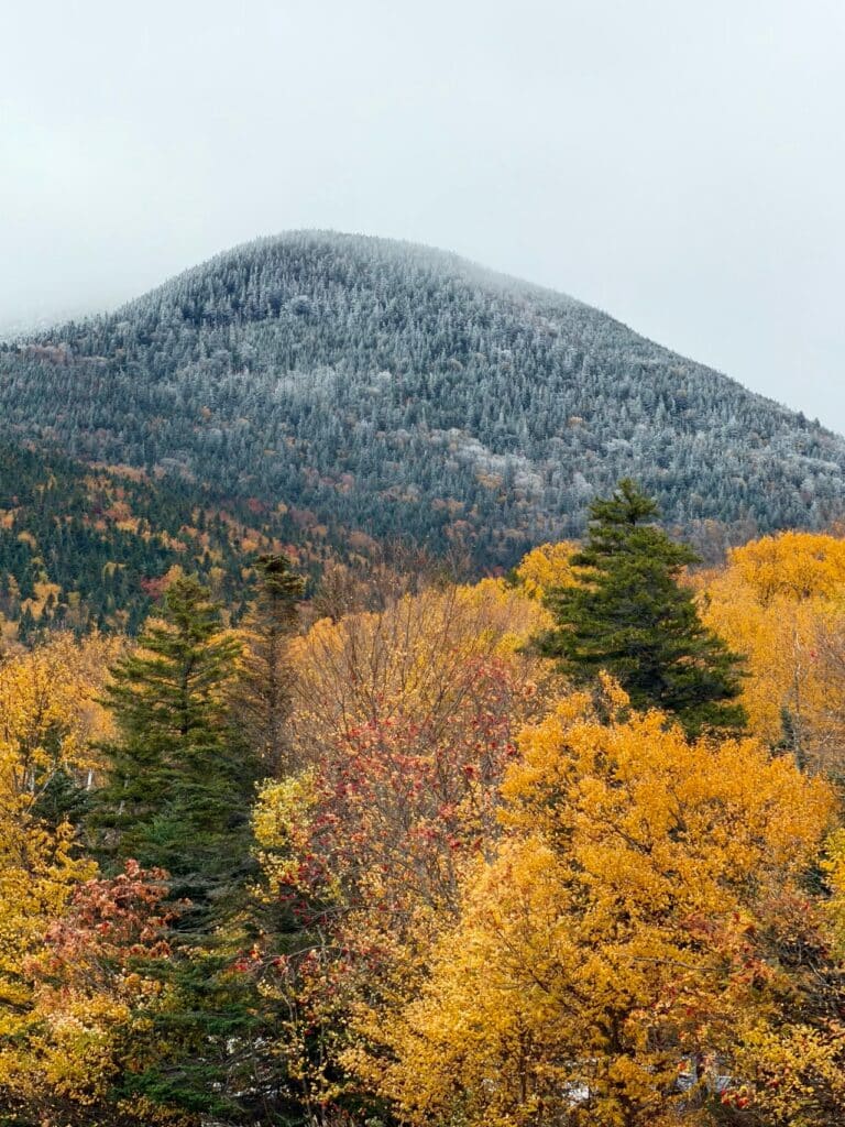 A mountain covered in frost rising above autumn trees with yellow and orange leaves.