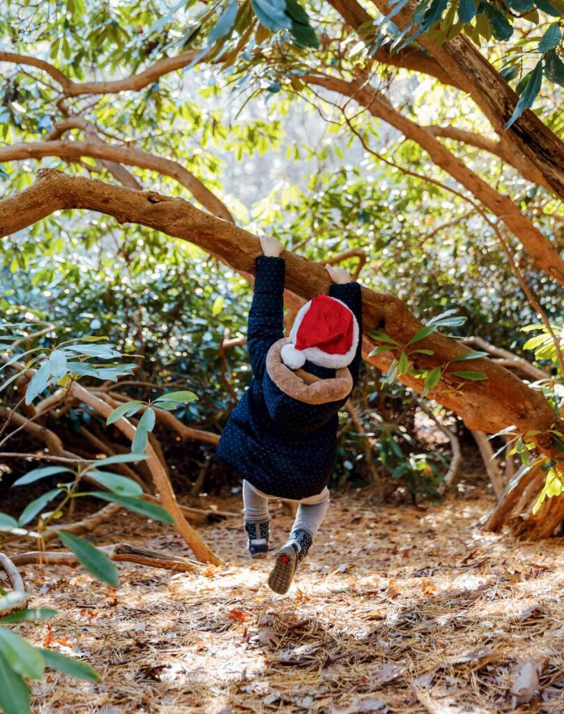 A child in a winter coat and Santa hat hanging from a tree branch.