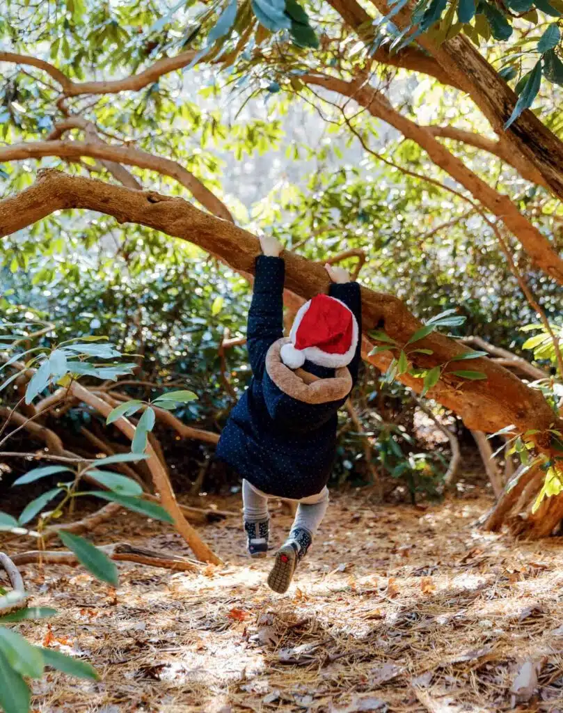 A child in a winter coat and Santa hat hanging from a tree branch.