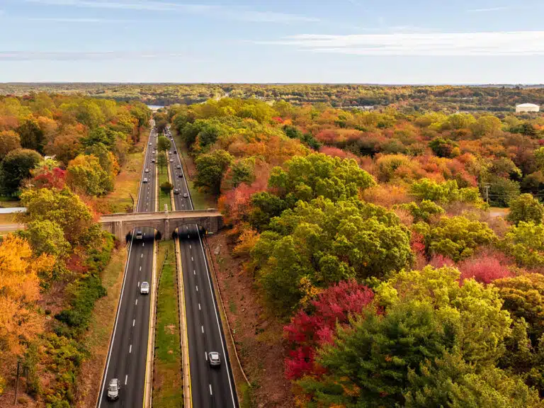 8 Great Things to Do in New England This Fall Weekend
