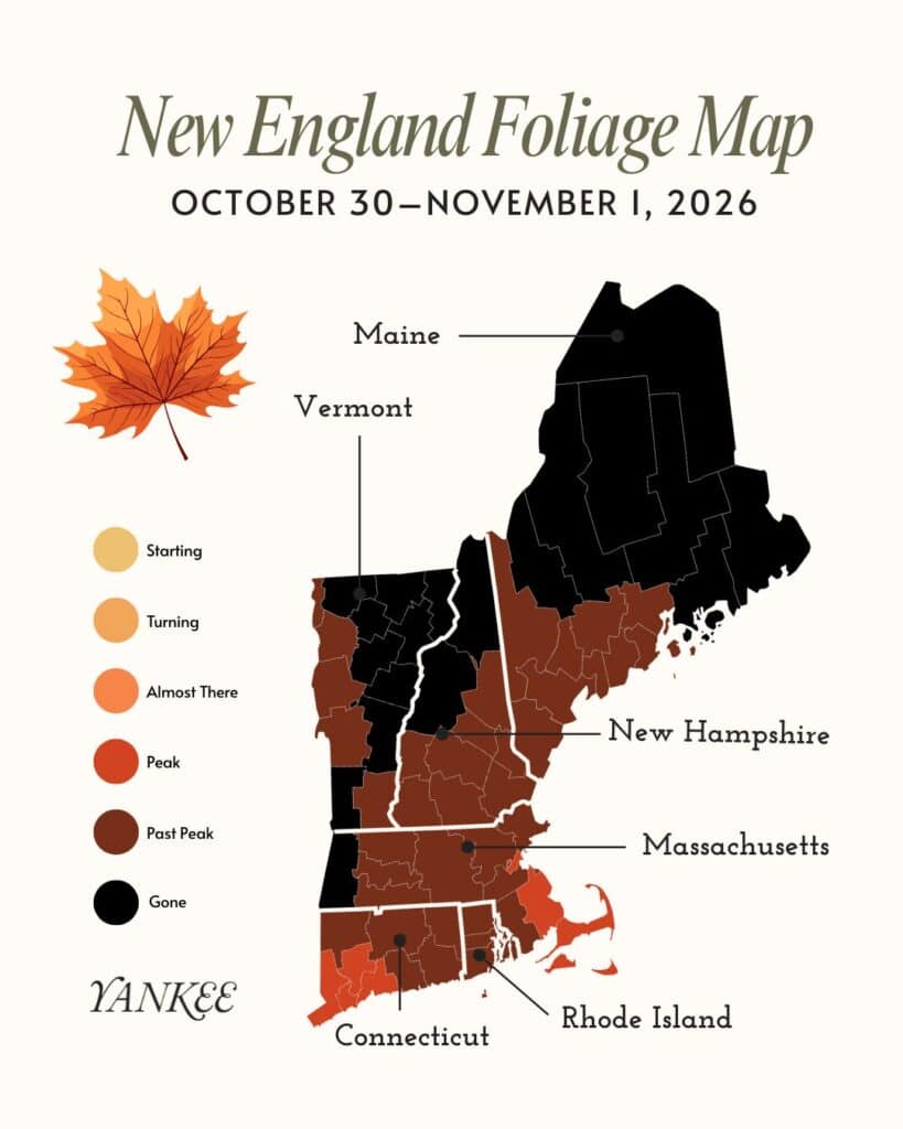 New England foliage map for October 30–November 1, 2026, showing color-coded peak leaf conditions by state.