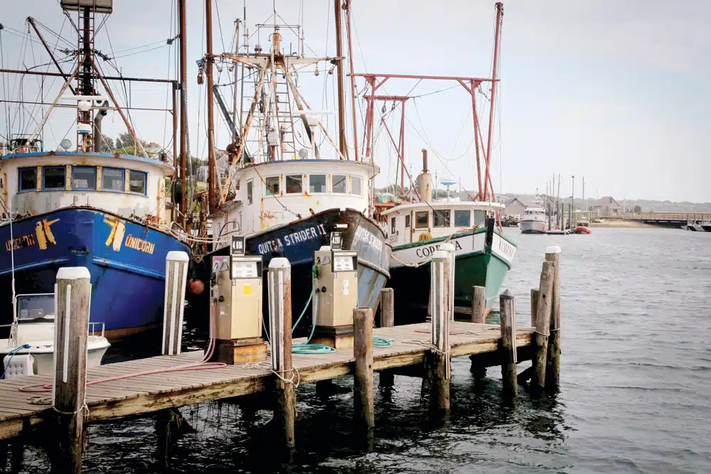 10 Reasons Why We Love Martha’s Vineyard | Yankee Magazine
