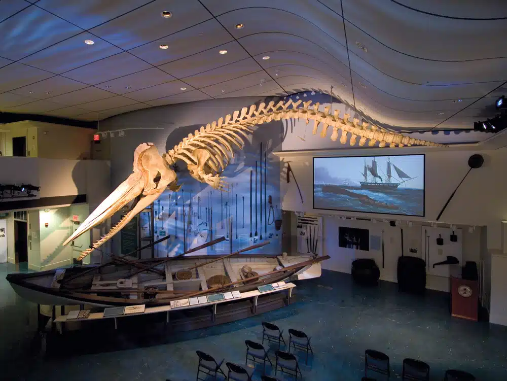 The Rise And Fall Of Nantucket Whaling New England The Rise And Fall Of Nantucket Whaling New England