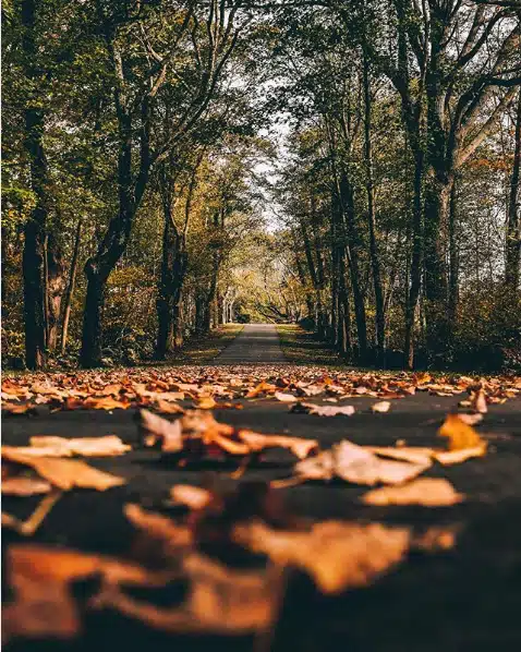 Colt State Park, Bristol, Rhode Island