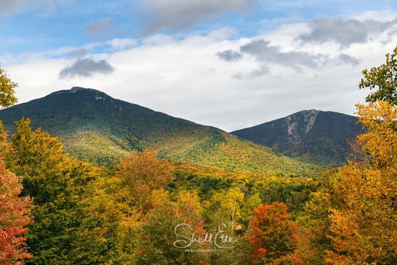 The White Mountains Color