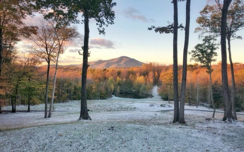 Snow Fall on Foliage