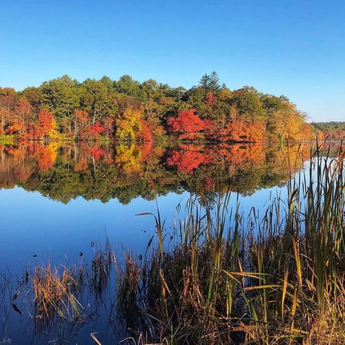 2018 New England Fall Foliage Recap | Still Plenty of Color to Be Found ...