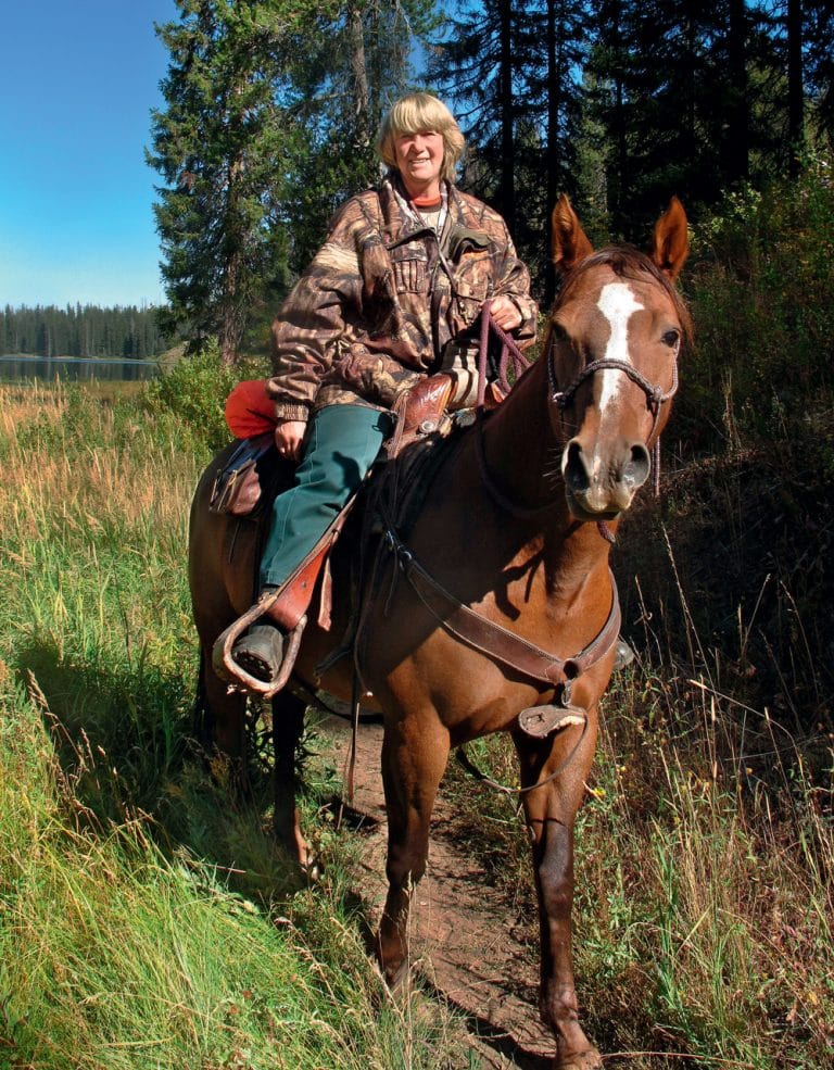 The Great Divide Are There Mountain Lions in New England? New England