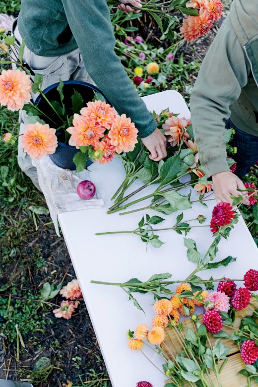 How the five Lam siblings (and their parents) grew a love of farming and flowers into a thriving family business.