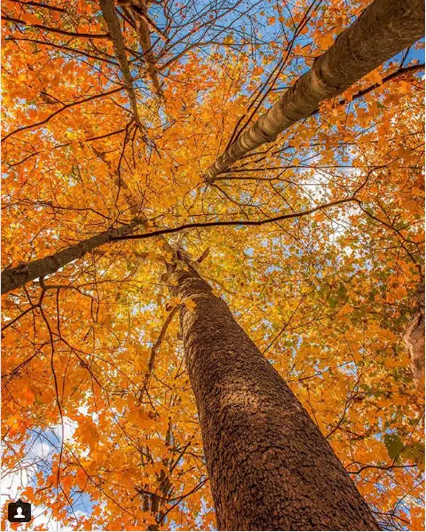 Hemlock Gorge Reservation, Newton, Msssachusetts