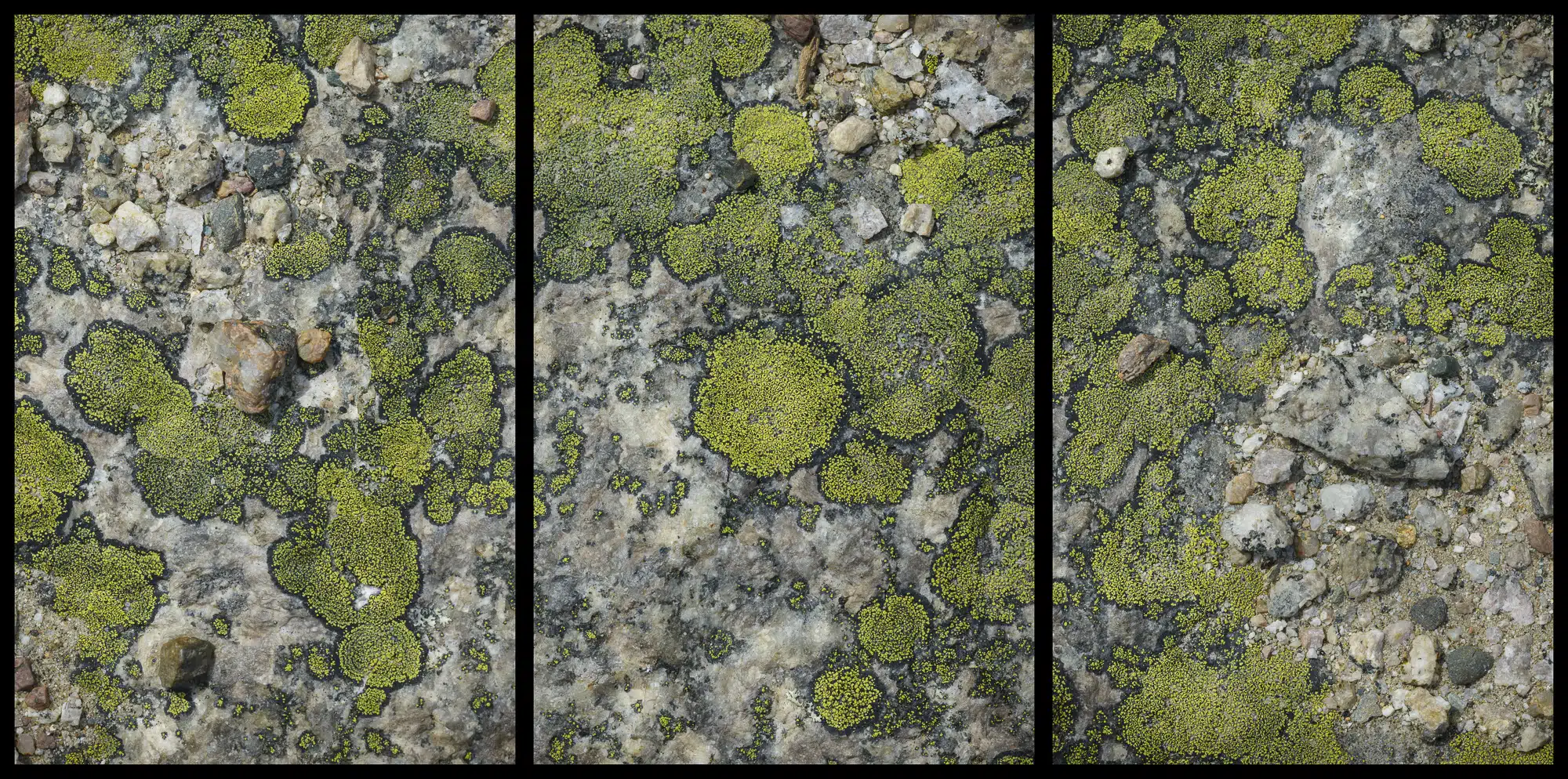 Settlement Quarry, Stonington, Maine, MMXIV