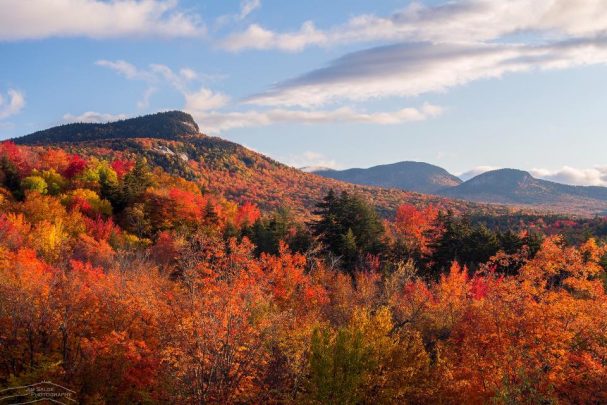 New England Fall Foliage | 2020 Forecast - New England Today