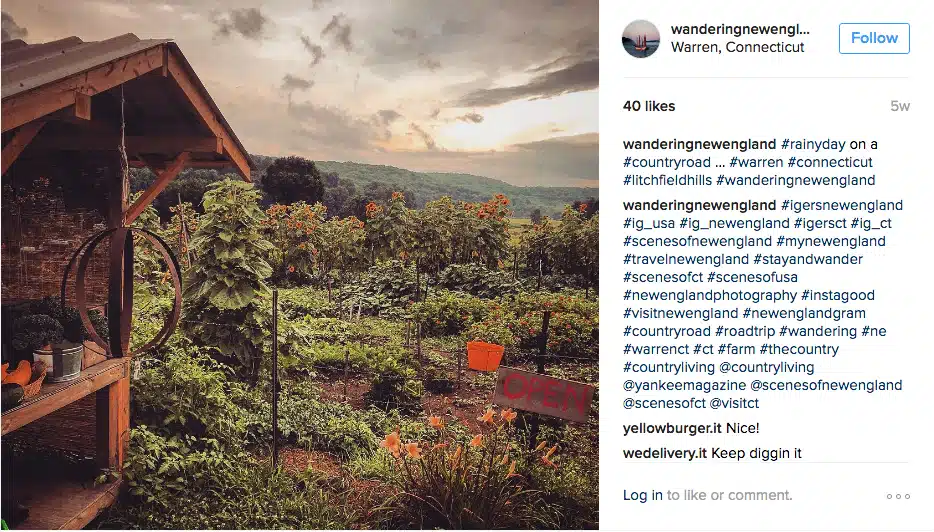 7_Instagram