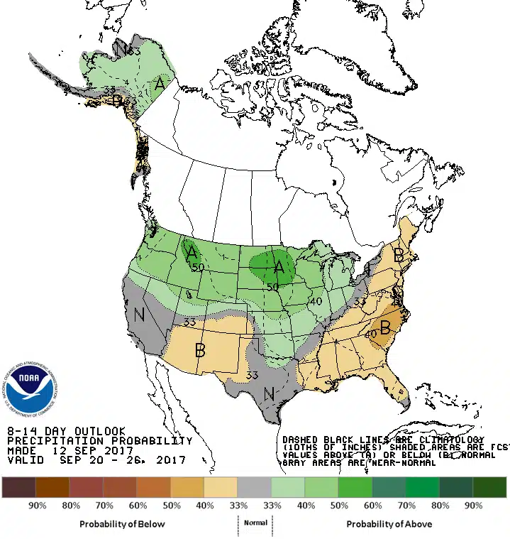 Forecast precipitation