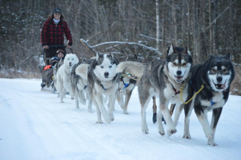 Ways to Have Fun in New Hampshire This Winter