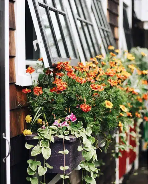 8_Instagram