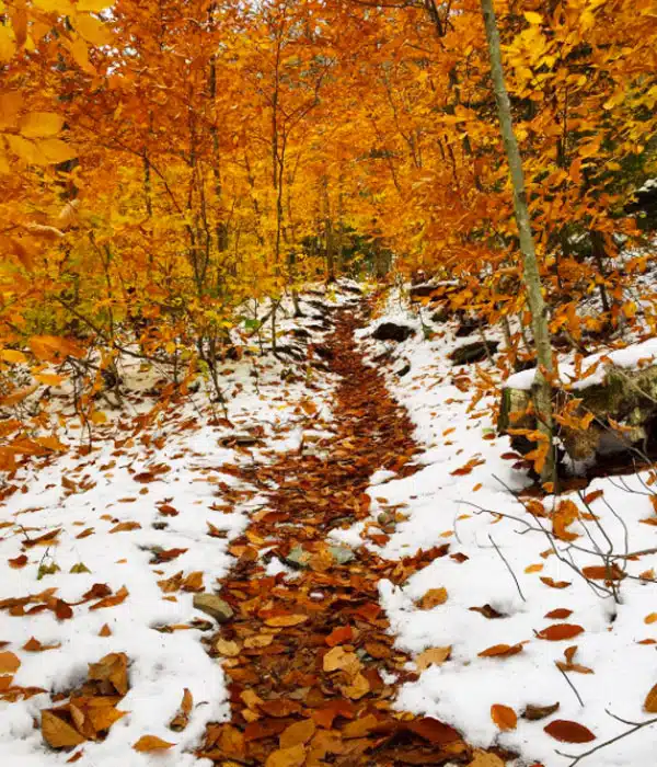 Mount Equinox, Vermont
