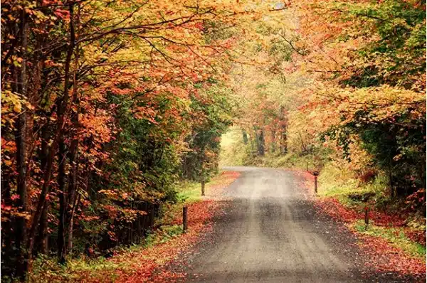 Cabot, Vermont