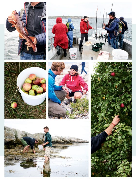 The Essence of Appledore New England Today