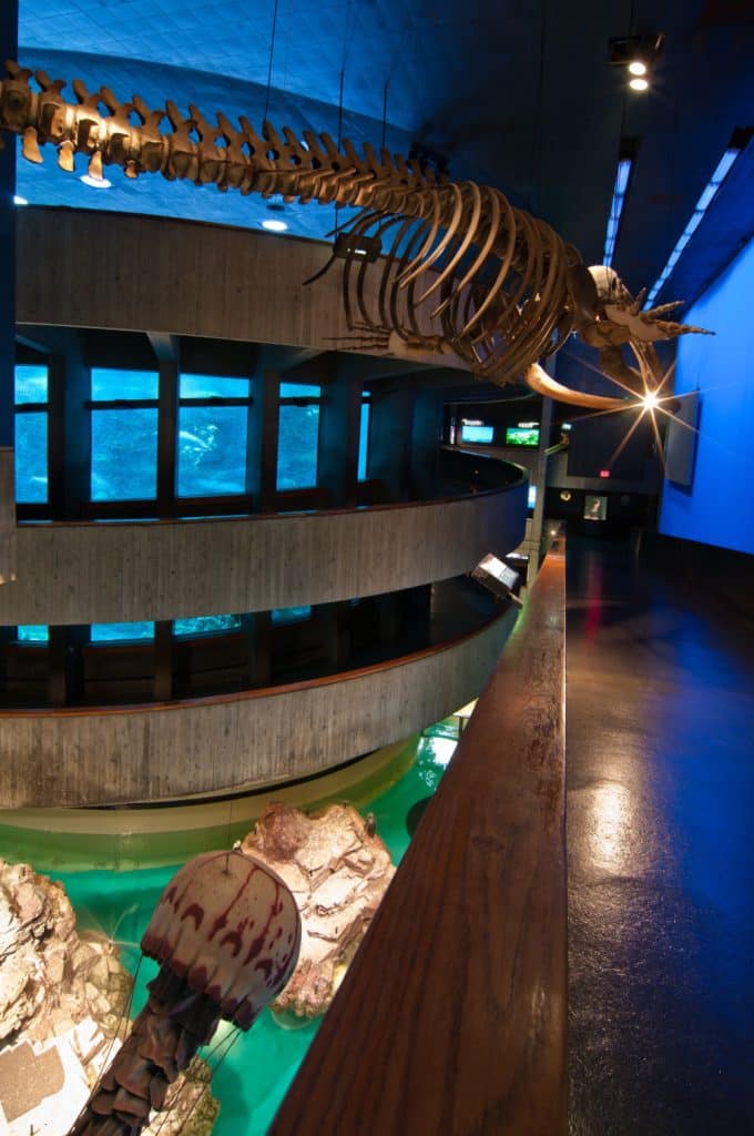 Best Boston Museums for Kids - New England